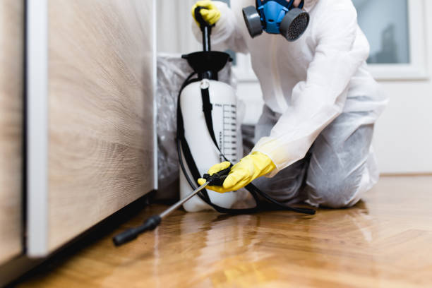 Best Rat Extermination Near Me  in Elgin, OK